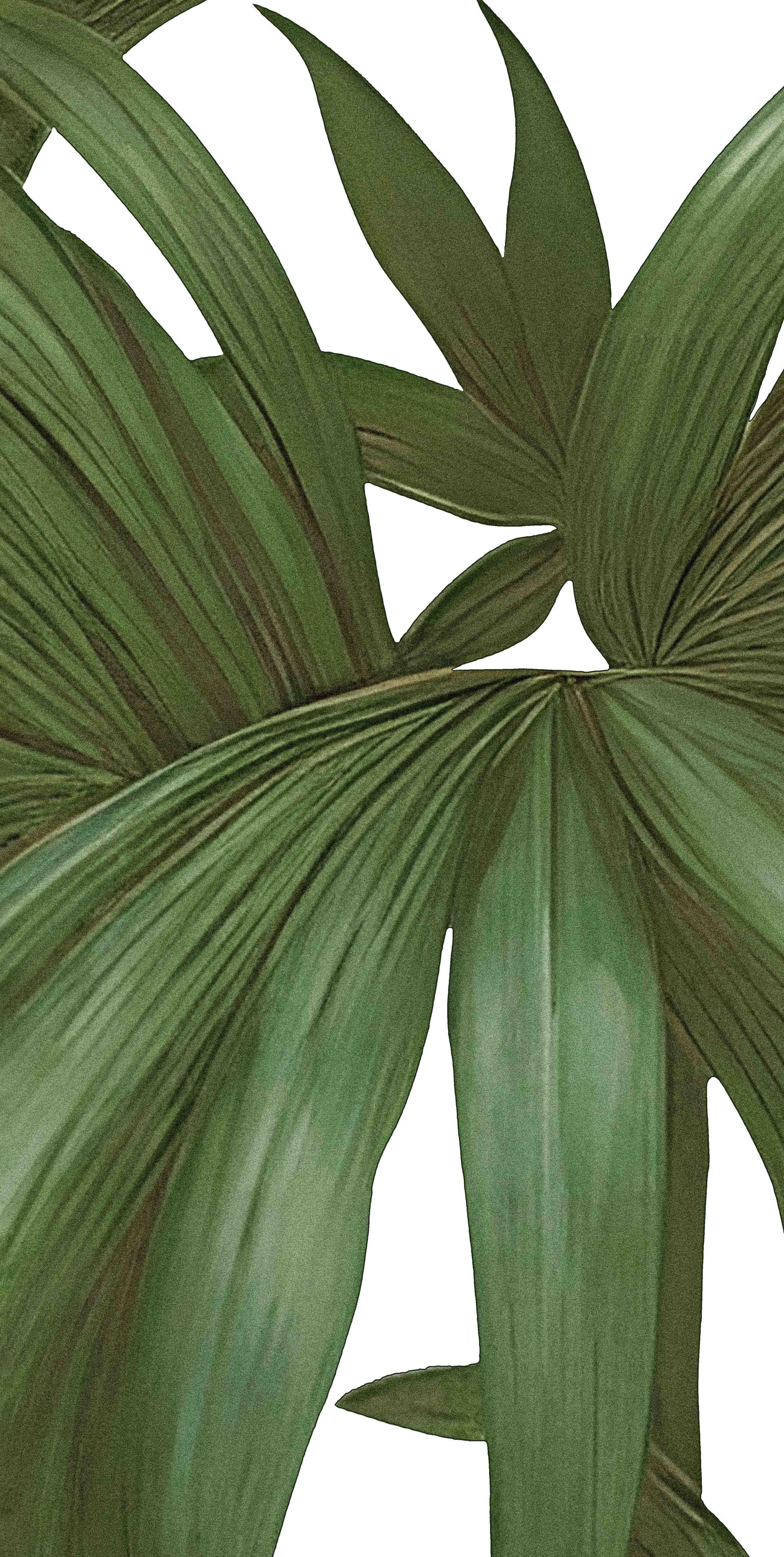 JTW - Thế Giới Gạch Nhật Bản