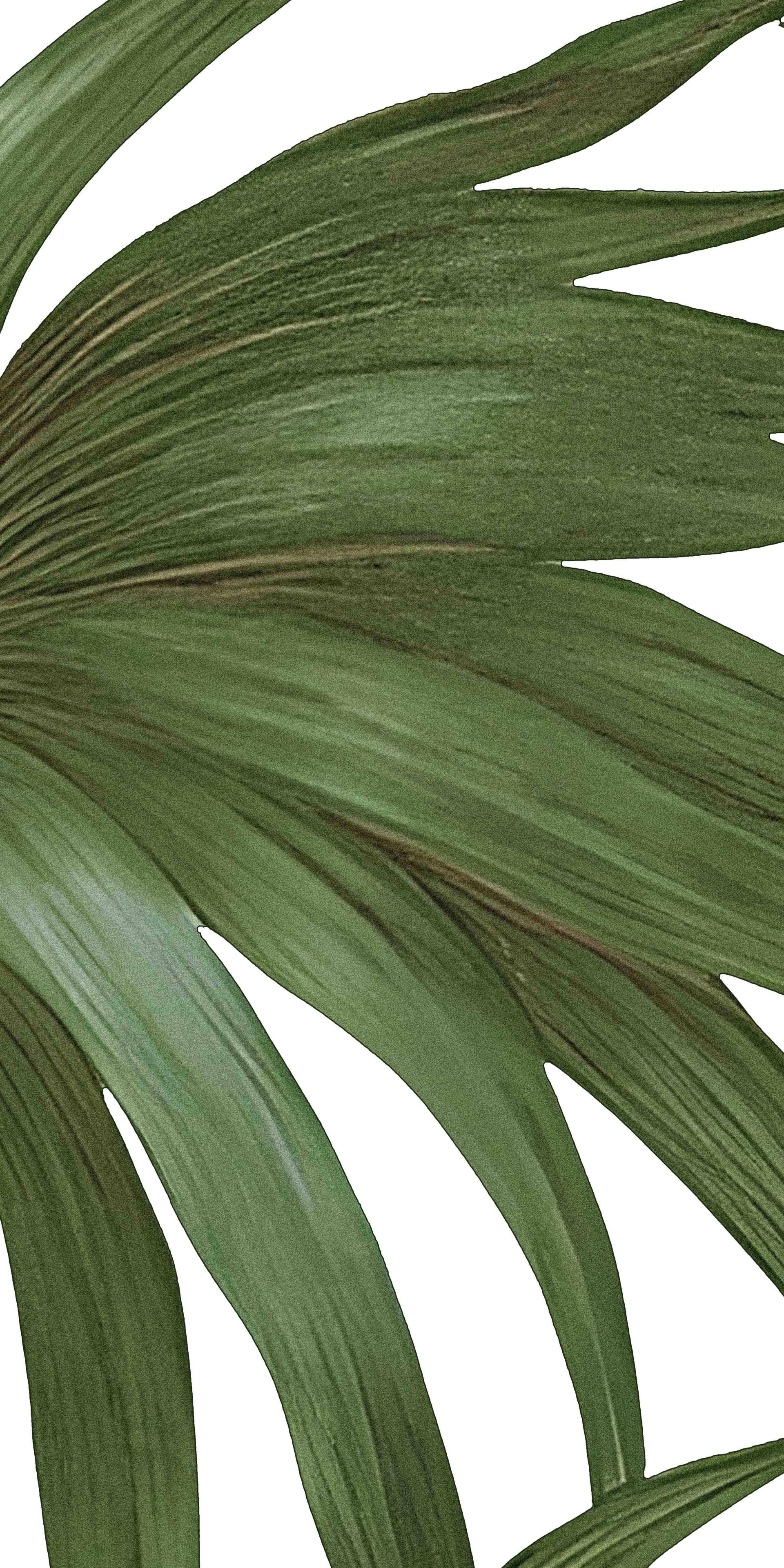 JTW - Thế Giới Gạch Nhật Bản