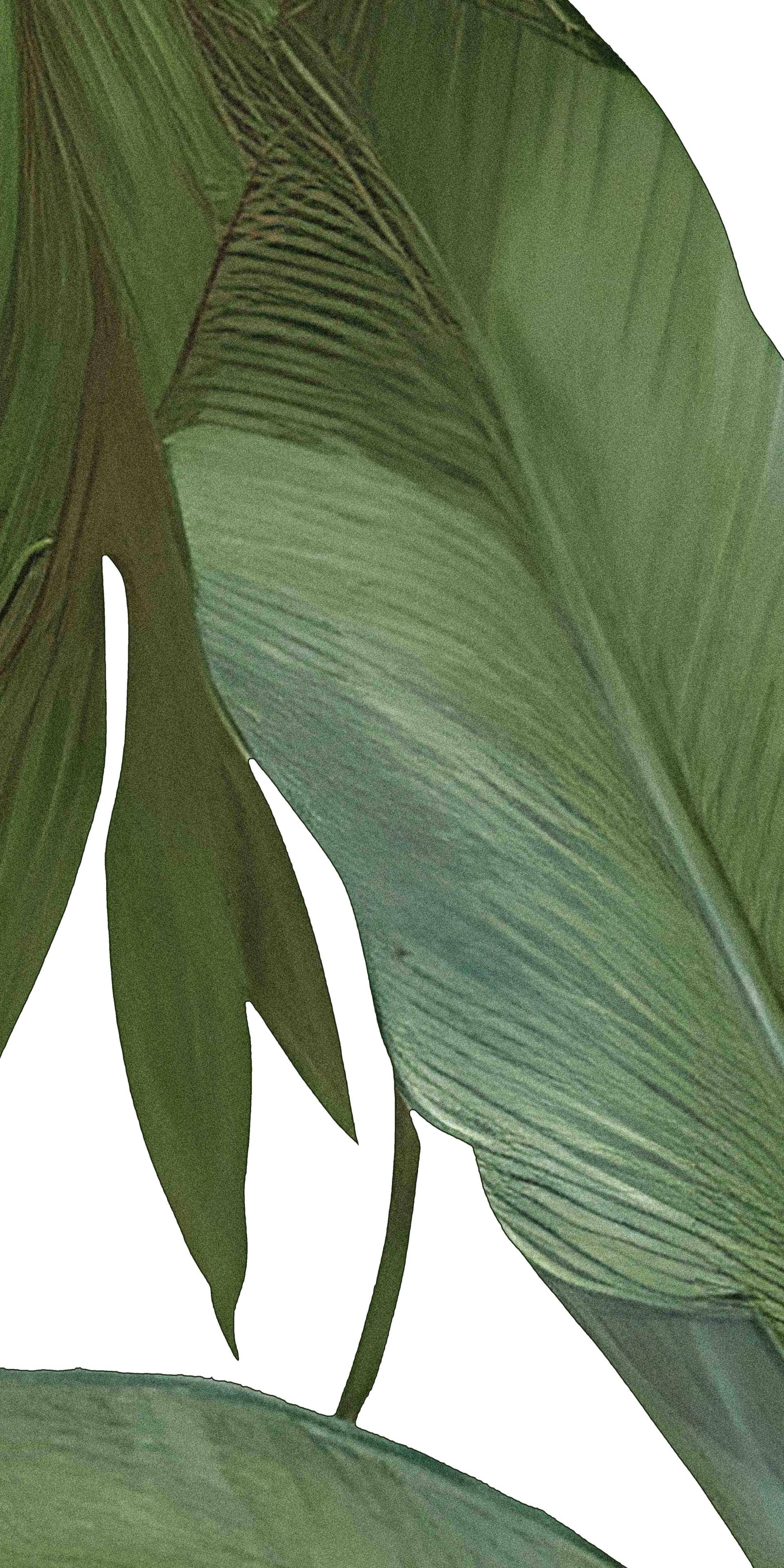 JTW - Thế Giới Gạch Nhật Bản