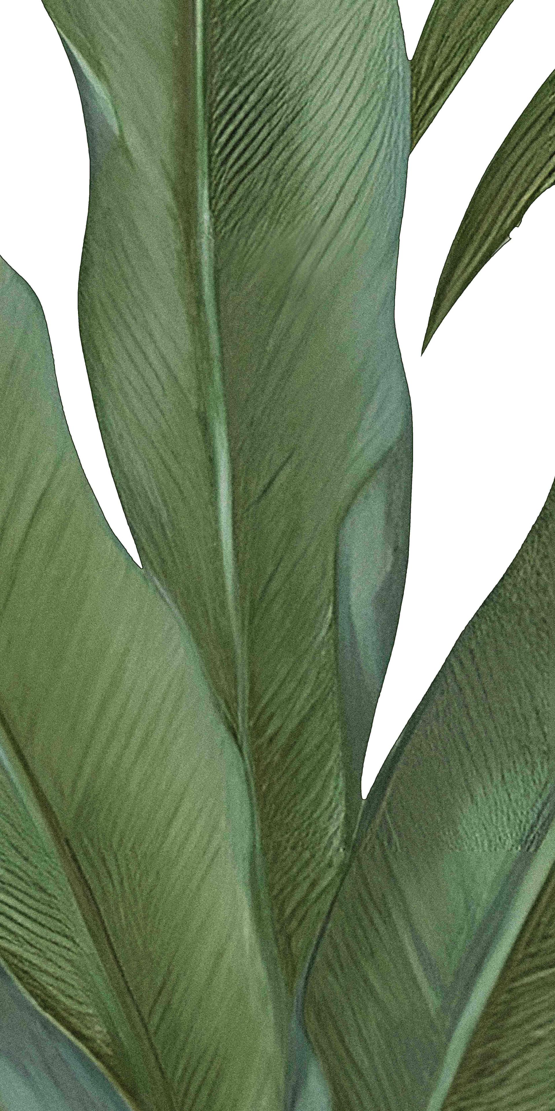 JTW - Thế Giới Gạch Nhật Bản