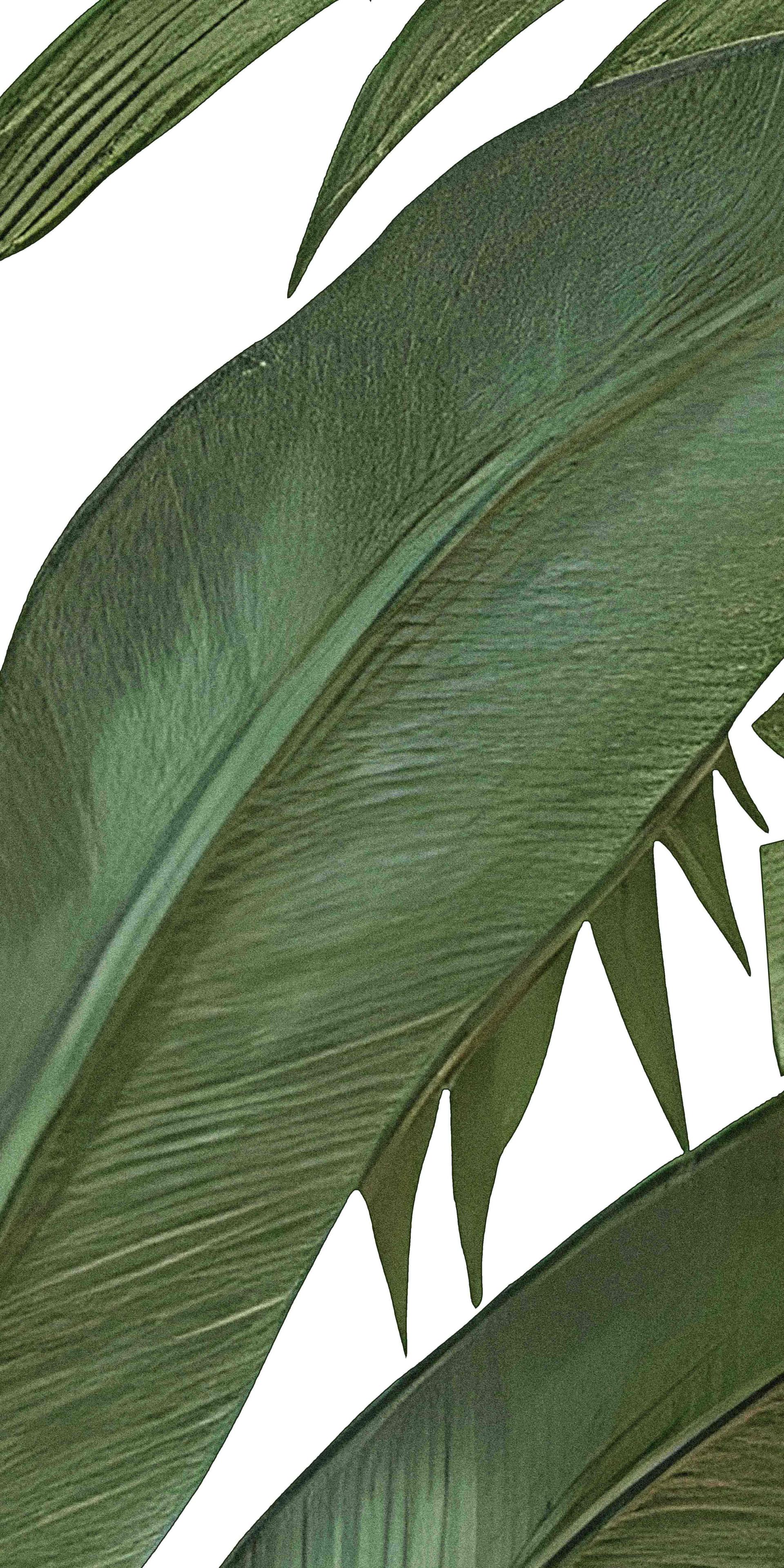 JTW - Thế Giới Gạch Nhật Bản