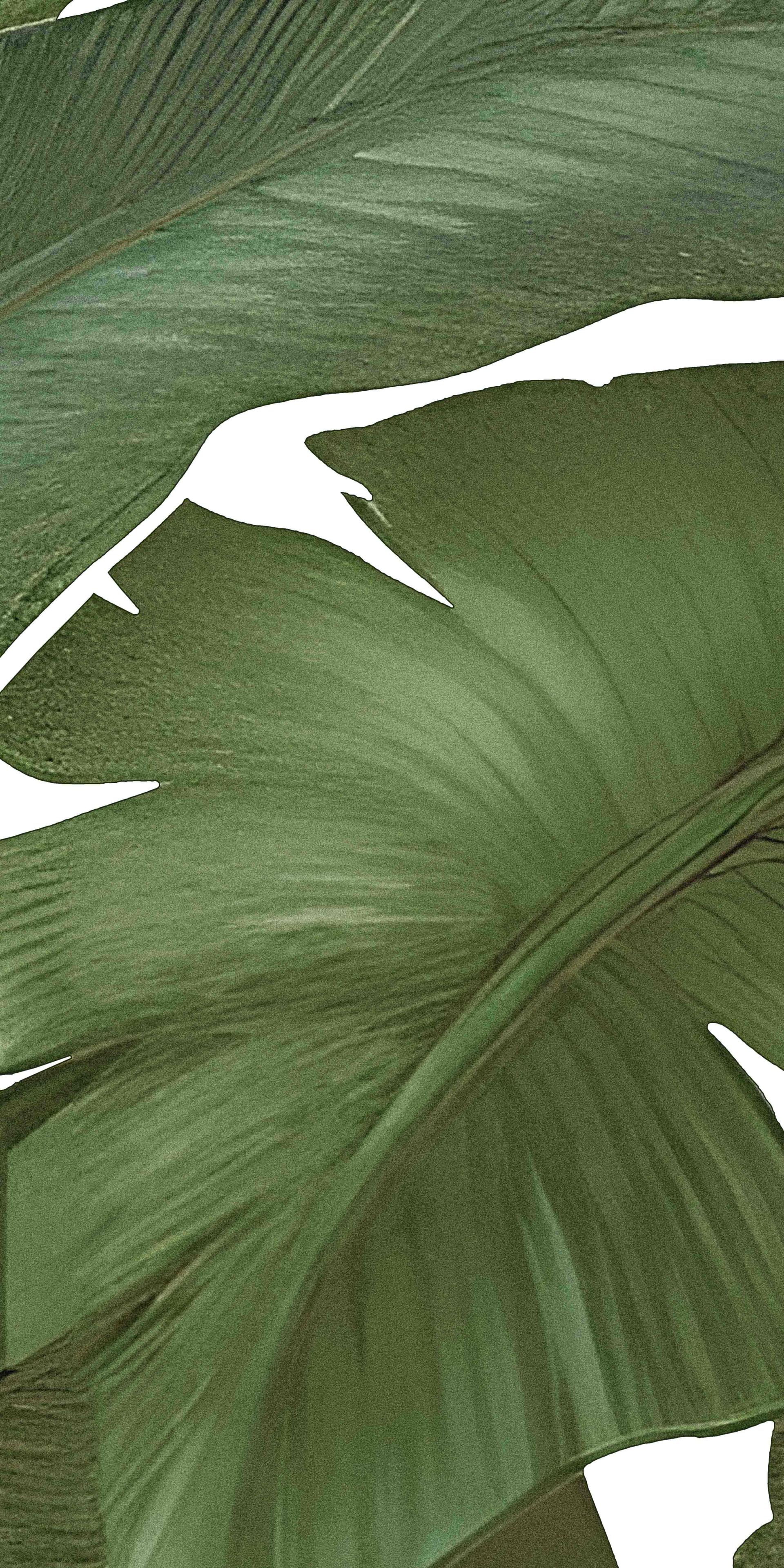 JTW - Thế Giới Gạch Nhật Bản